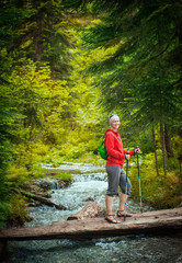 Woman hiker with sticks walking in forest. Tourism concept