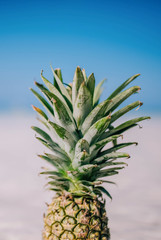 Tropical summer delight. Close-up fresh pineapple on the white sand beach. Blue cloudy sky and crystal sea of tropical beach on the background. Vacation on the paradise island.