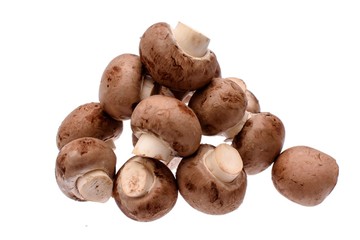 Gray mushrooms champignons isolated on white background