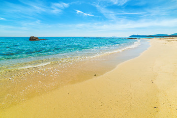 Fototapeta na wymiar Golden shore in Santa Giusta beach