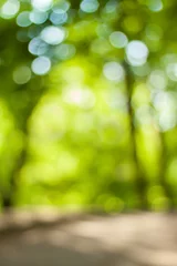 Canvas schilderij Hotel Blurry nature wallpaper. Forest bokeh background. Vertical defocused backdop.  © 621513