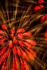 fireworks over Seattle