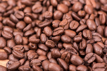 Close-up of coffee beans