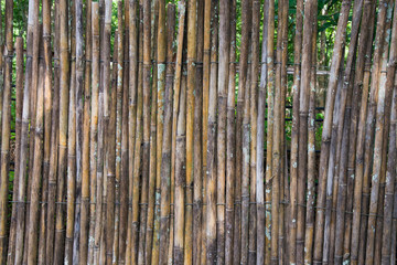 Bamboo sort and organize background, wallpaper, texture
