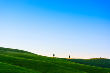 Beautiful Tuscany landscape