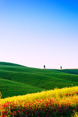 Beautiful Tuscany landscape