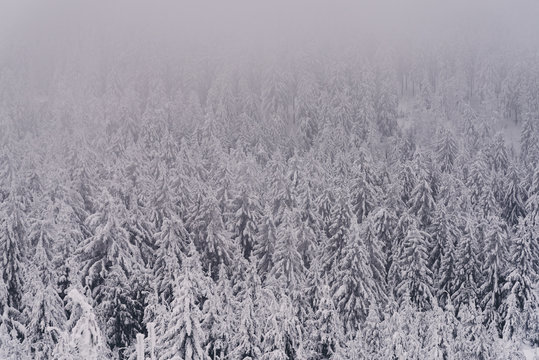 Harzer Hexenstieg im Winter