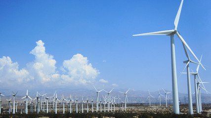 aerogeneradores en el desierto
