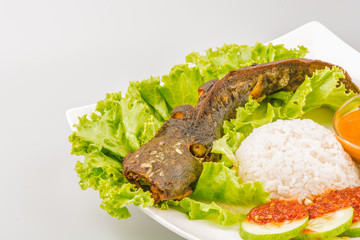 Isolated catfish fried ala Indonesia with condiments, Indonesian food