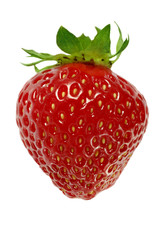 red  strawberry isolated macro