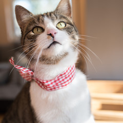 Photo: Georgina Chirbatdji