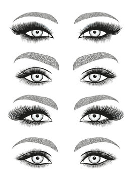 recommend clip art: Stylized decorative makeup set. Hand drawn bright eyes with thick, long eyelashes and perfect brows. Vector illustration
