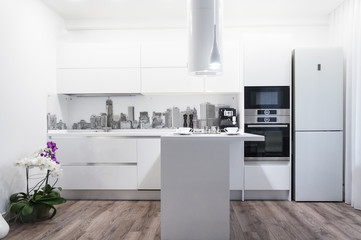 Modern kitchen interior