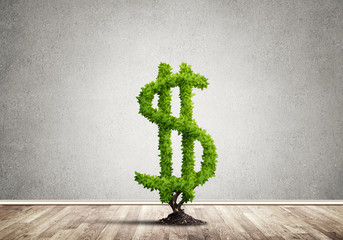 Right investment for getting income