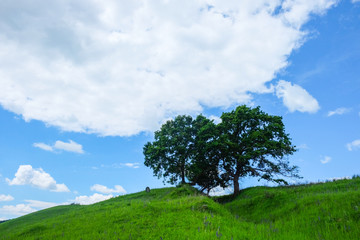 Obraz premium East European scenery - Transylvania region
