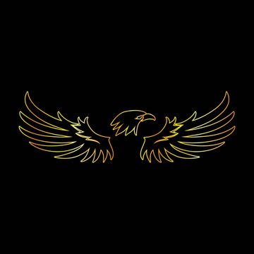 Golden Line Eagle with Black Background, Vector, Illustration