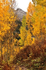 Fall Mountain Colors