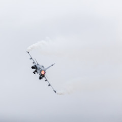 Fototapeta na wymiar Swedish Air Force JAS 39 Gripen pulling away after takeoff
