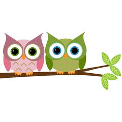 owls on a branch