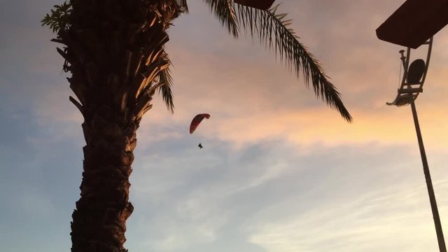 Paragliding Madeira Calheta Beach