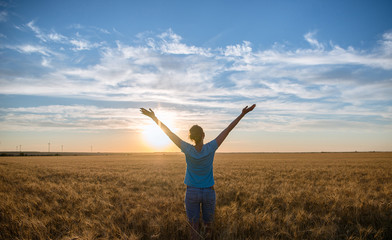 Free Happy Woman Enjoying Nature and Freedom Outdoor. Woman with arms outstretched in a wheat field in sunset.