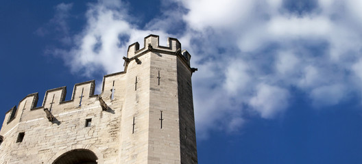 Web banner of palace in Avignon, France
