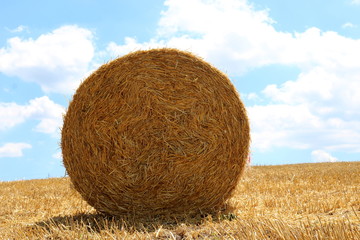 BALLES RONDES DE PAILLE DANS UN CHAMP