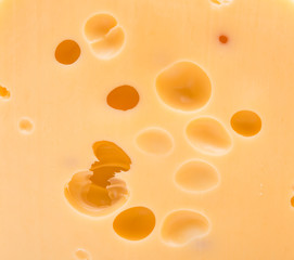 The texture of the cheese.