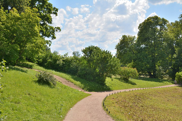 Sandy path in the Park with a fork in a Y shape
