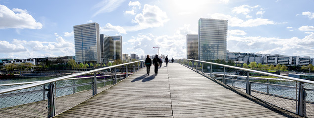 View of the French National Library ( Bibliotheque Nationale de Paris or Francois Mitterrand Bibliotheque) from the Simone-de-Beauvoir pedestrian bridge over the seine in Paris