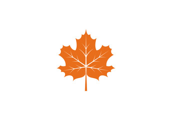 Fototapeta premium Maple leaf icon or logo in modern line style. Vector illustration on a white background.