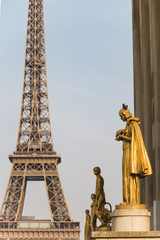 Fototapeta na wymiar Trocadéro Eiffel Tower