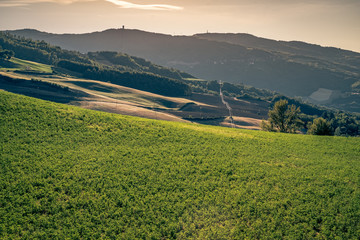Gecultiveerde heuvels in de buurt van Monghidoro, provincie Bologna, Emilia Romagna, Italië
