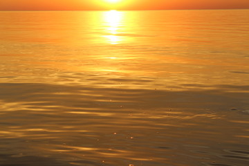 Naklejka na ściany i meble Golden water in the sea at sunset