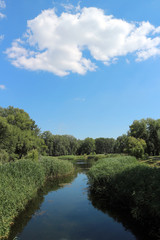 Fototapeta na wymiar Park lake, blue sky, green lakeside