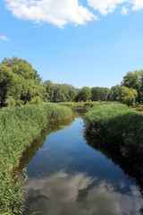 Fototapeta na wymiar Park lake in the summer