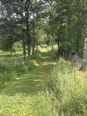 Summerpath