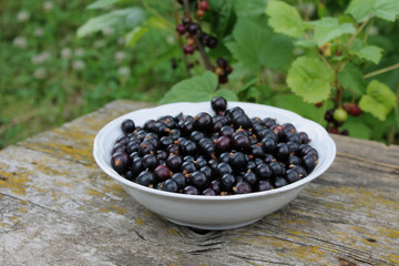 a ripe blackberry is in a dish