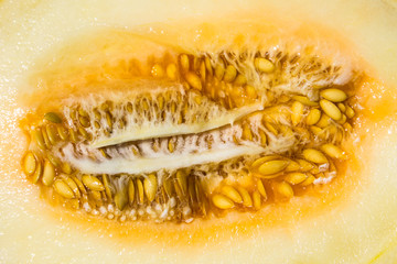 Texture of the ripe melon with seeds