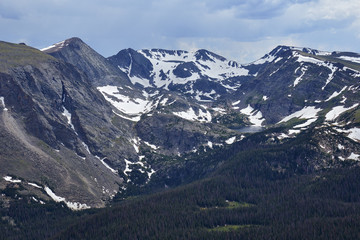 Fototapeta premium Summer scene near Trail Ridge Road in Rocky Mountain National Park, Colorado