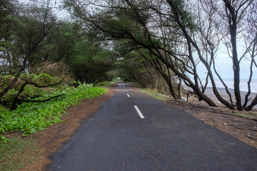 way of lonelyness - abandoned asphalt road at the indian ocean java island, indonesia