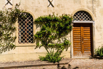 Fototapeta na wymiar Wall with door, window, bush