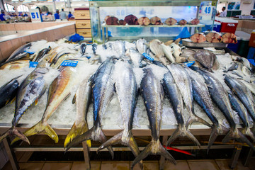 fish market abu dhabi, fish, market, fhish in ice, Shrims, seafood