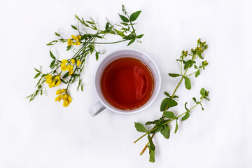 Cup of black tea with wild medicinal flowers on a white background
