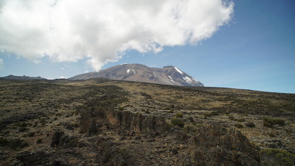 Mountain Kilimanjaro. View from Lava tower. Kili. Kilimanjaro, Africa, Tanzania, Uhuru peak