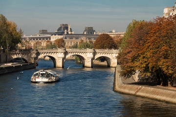 The Pont Neuf (New Bridge) and Seine river Paris, France.