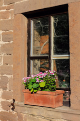 Fototapeta na wymiar Im romantischen Bauerngarten: Kapuzinerkresse im Terracottatopf auf der Fensterbank einer alten Scheune