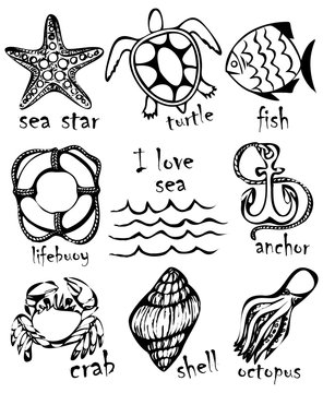 Graphic drawings of marine animals. Imitation of graphic drawings in ink. Drawing and creativity on the sea theme. Vector illustrations.