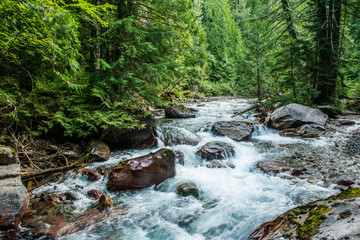 Stream
