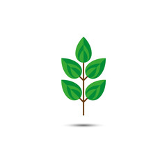 Green leafs icon. Vector.